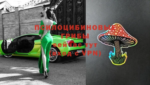 прущие грибы Алексин