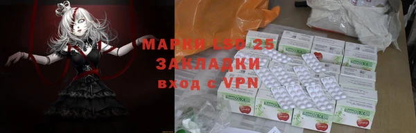 прущие грибы Алексин