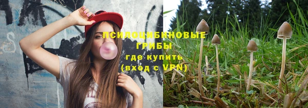 гашик Алзамай