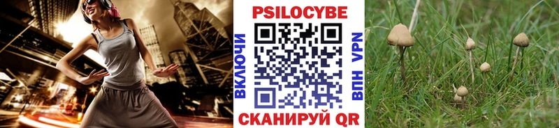 Галлюциногенные грибы Cubensis  сайты даркнета формула  Сосновый Бор 
